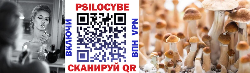 Купить  Байкальск  Галлюциногенные грибы MAGIC MUSHROOMS 