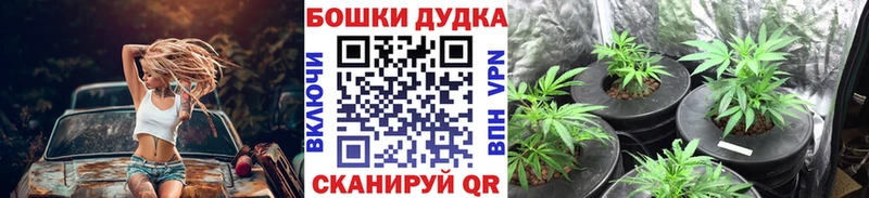 Бошки Шишки MAZAR  Купить  Байкальск 